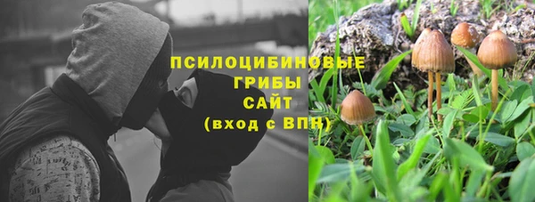 стаф Верхний Тагил